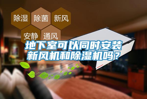 地下室可以同时安装新风机和小黄片直播视频吗？