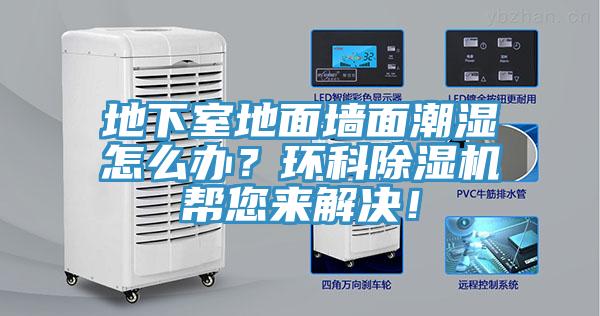 地下室地面墙面潮湿怎么办？环科小黄片直播视频帮您来解决！