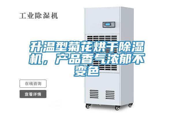 升温型菊花烘干小黄片直播视频，产品香气浓郁不变色