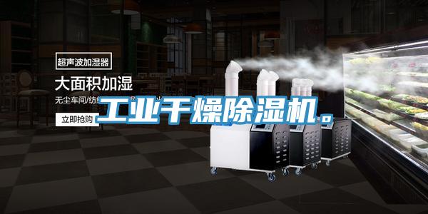 工业干燥小黄片直播视频。