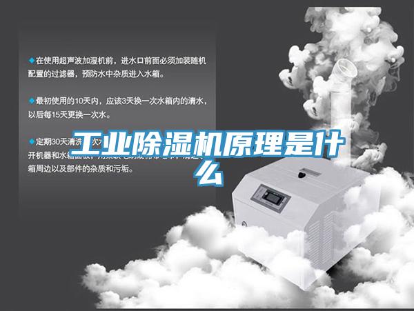 工业小黄片直播视频原理是什么
