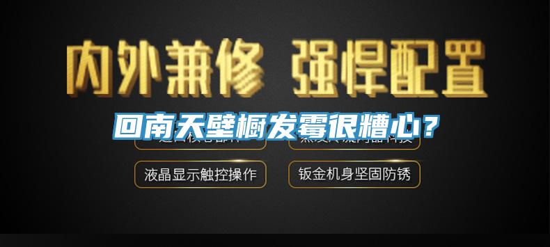 回南天壁橱发霉很糟心？