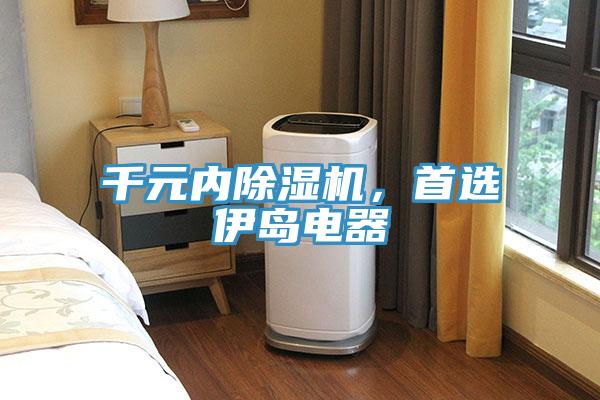 千元内小黄片直播视频，首选伊岛电器