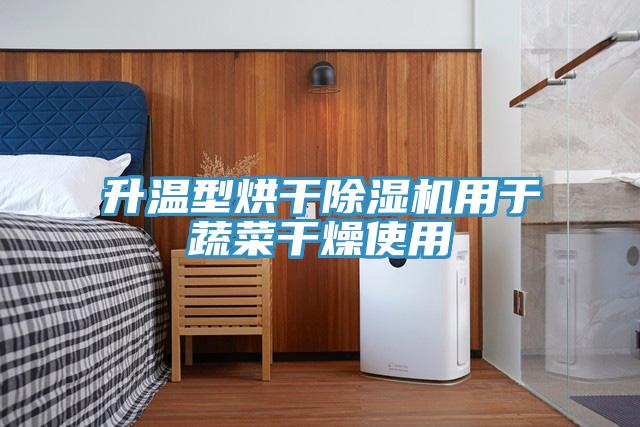 升温型烘干小黄片直播视频用于蔬菜干燥使用