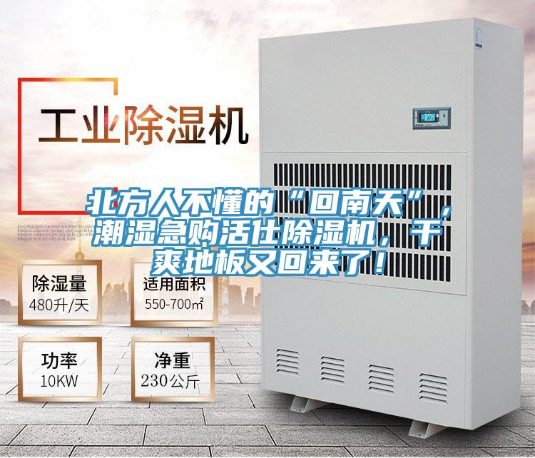 北方人不懂的“回南天”，潮湿急购活仕小黄片直播视频，干爽地板又回来了！
