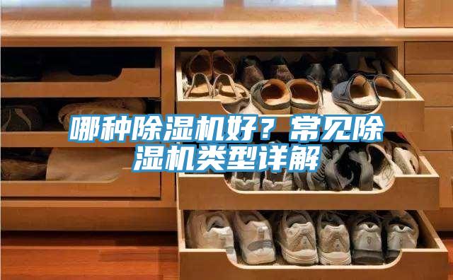 哪种小黄片直播视频好？常见小黄片直播视频类型详解