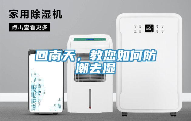 回南天，教您如何防潮去湿