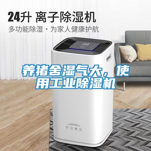 养猪舍湿气大，使用工业小黄片直播视频