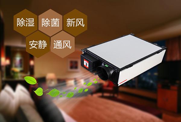 厦门小黄片直播视频怎么选？