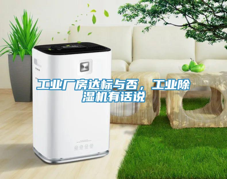 工业厂房达标与否，工业小黄片直播视频有话说