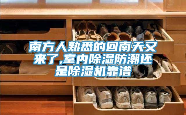南方人熟悉的回南天又来了,室内除湿防潮还是小黄片直播视频靠谱