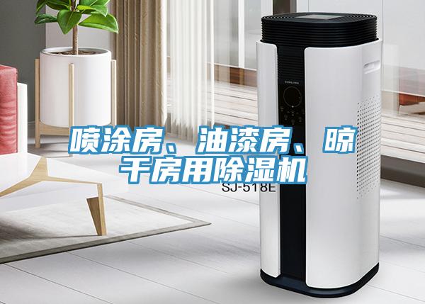 喷涂房、油漆房、晾干房用小黄片直播视频