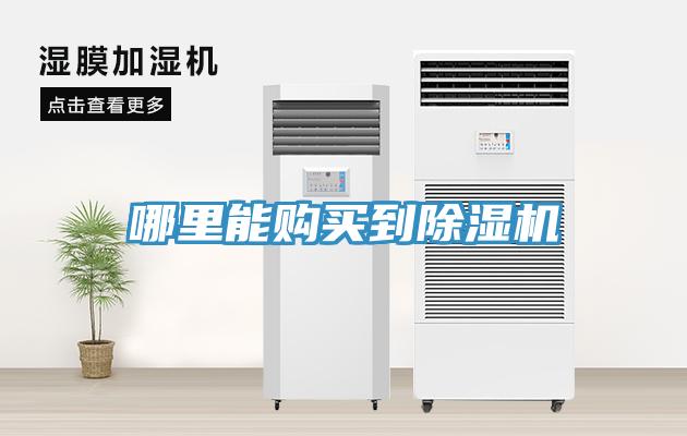 哪里能购买到小黄片直播视频