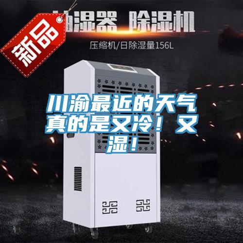 川渝最近的天气真的是又冷！又湿！