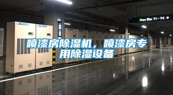 喷漆房小黄片直播视频，喷漆房专用除湿设备