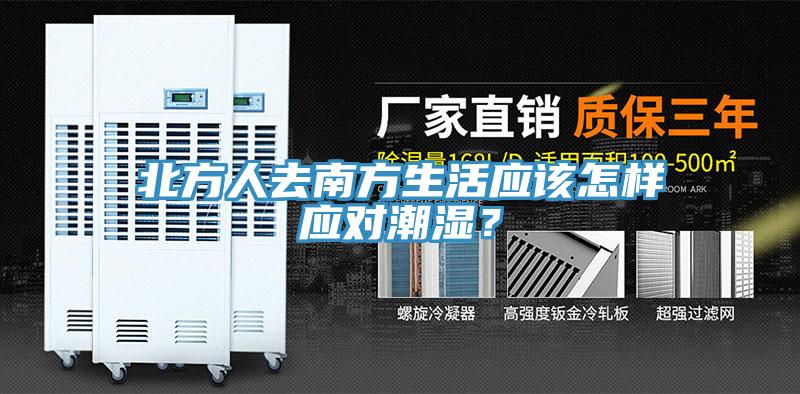 北方人去南方生活应该怎样应对潮湿？