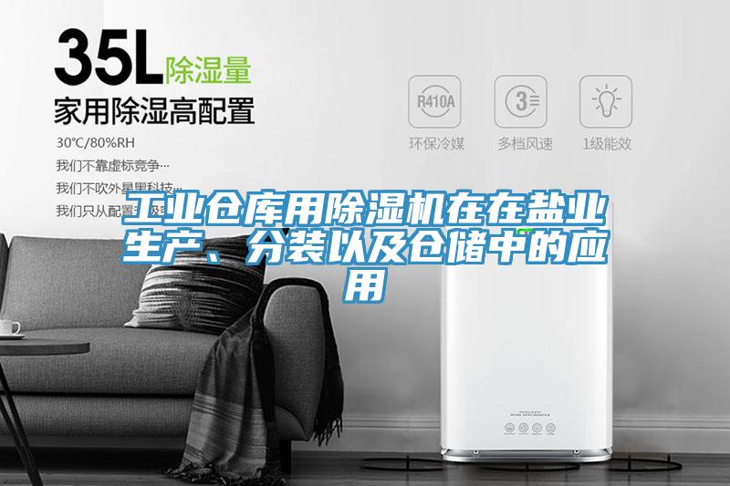 工业仓库用小黄片直播视频在在盐业生产、分装以及仓储中的应用