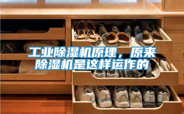 工业小黄片直播视频原理，原来小黄片直播视频是这样运作的
