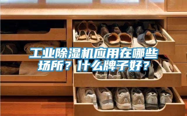 工业小黄片直播视频应用在哪些场所？什么牌子好？