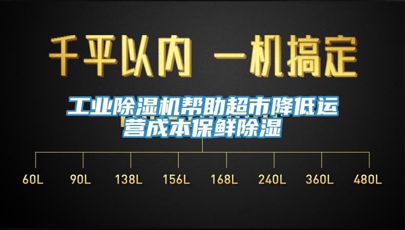 工业小黄片直播视频帮助超市降低运营成本保鲜除湿