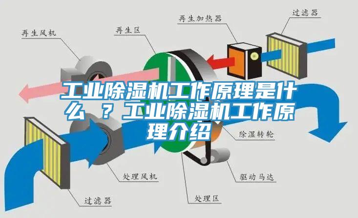 工业小黄片直播视频工作原理是什么 ？工业小黄片直播视频工作原理介绍