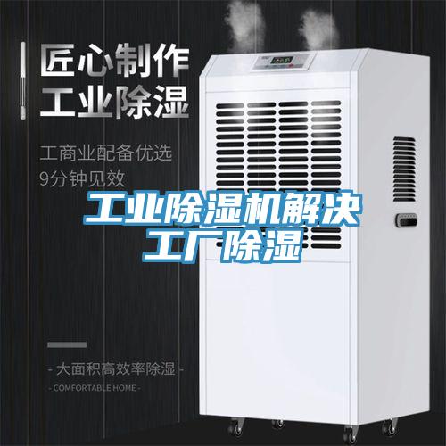 工业小黄片直播视频解决工厂除湿