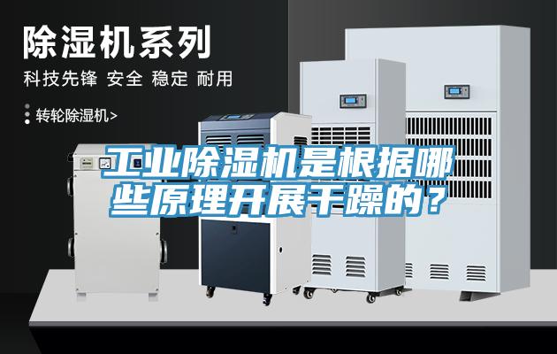 工业小黄片直播视频是根据哪些原理开展干躁的？
