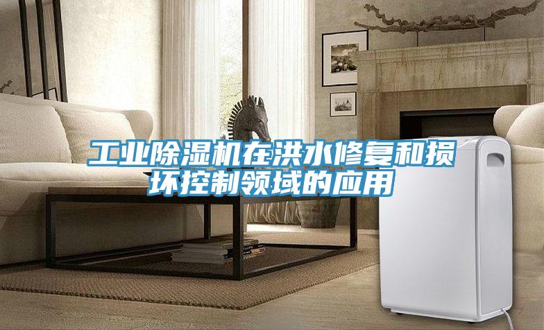 工业小黄片直播视频在洪水修复和损坏控制领域的应用