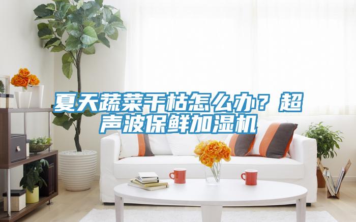 夏天蔬菜干枯怎么办？超声波保鲜加湿机