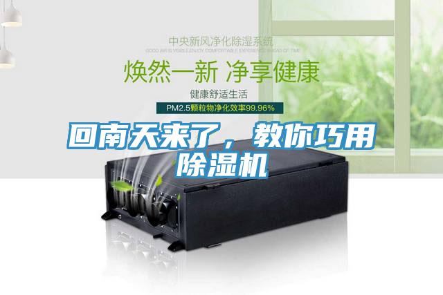 回南天来了，教你巧用小黄片直播视频