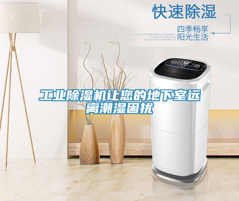 工业小黄片直播视频让您的地下室远离潮湿困扰