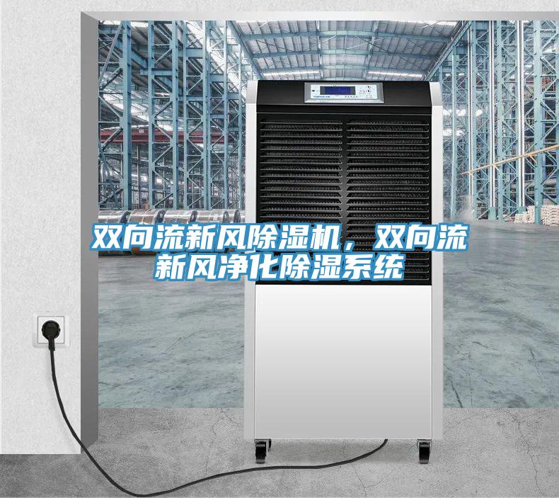 双向流新风小黄片直播视频，双向流新风净化除湿系统