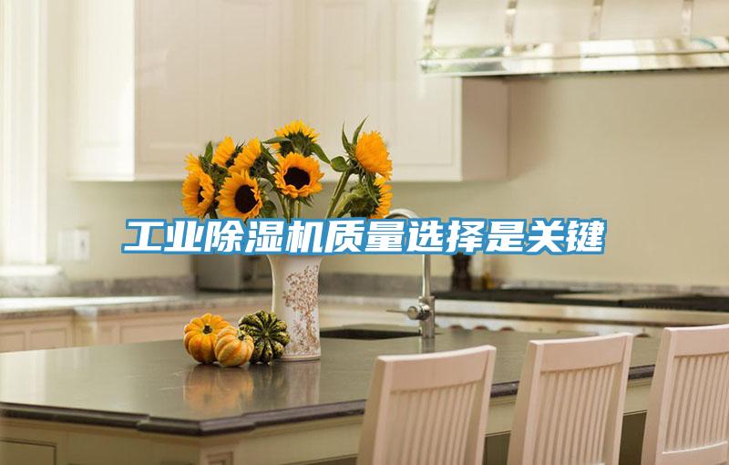 工业小黄片直播视频质量选择是关键