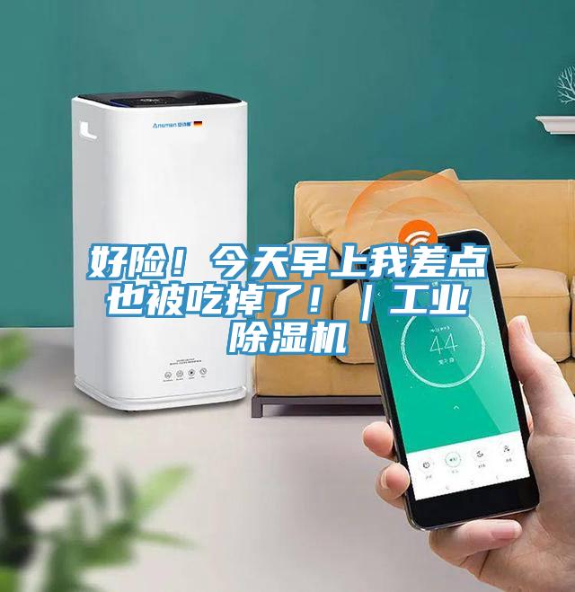 好险！今天早上我差点也被吃掉了！｜工业小黄片直播视频