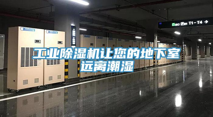 工业小黄片直播视频让您的地下室远离潮湿