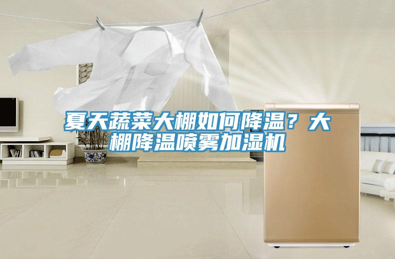 夏天蔬菜大棚如何降温？大棚降温喷雾加湿机