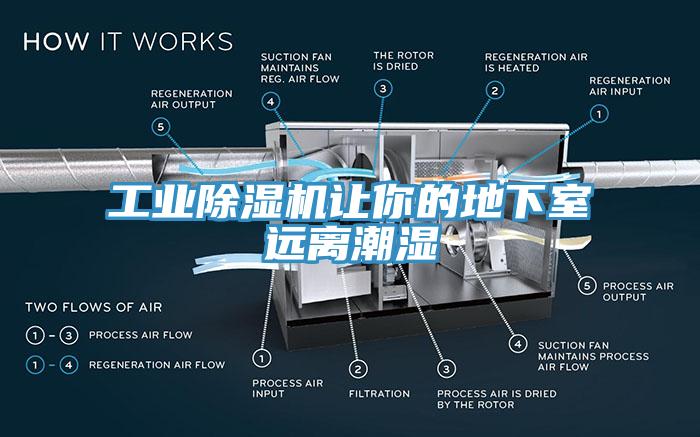 工业小黄片直播视频让你的地下室远离潮湿