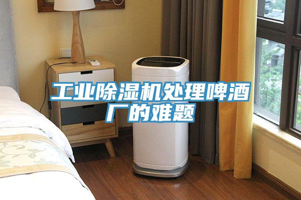 工业小黄片直播视频处理啤酒厂的难题