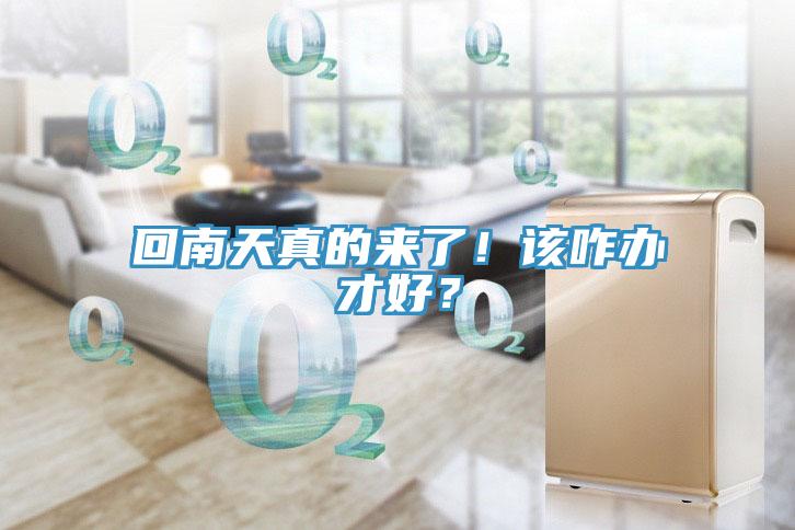 回南天真的来了！该咋办才好？