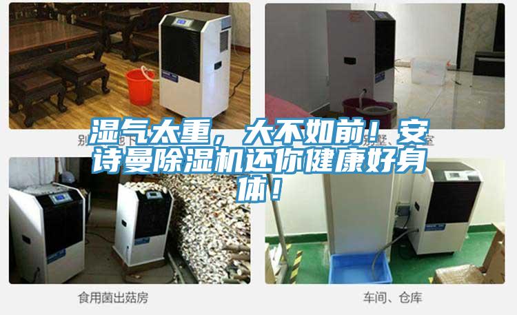 湿气太重，大不如前！午夜小黄片APP小黄片直播视频还你健康好身体！