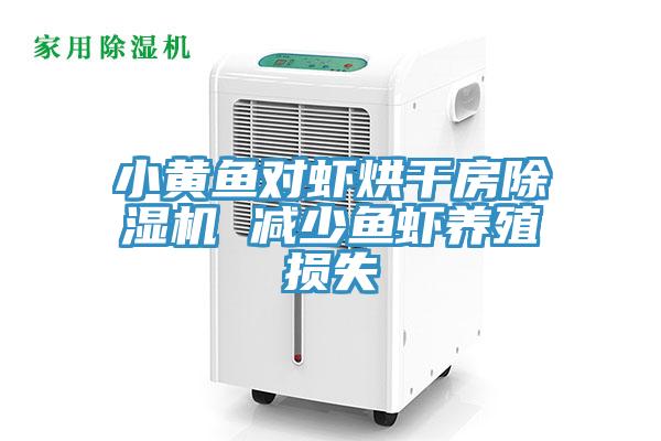 小黄鱼对虾烘干房小黄片直播视频 减少鱼虾养殖损失