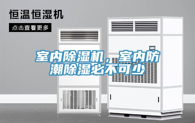 室内小黄片直播视频，室内防潮除湿必不可少