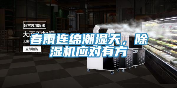 春雨连绵潮湿天，小黄片直播视频应对有方