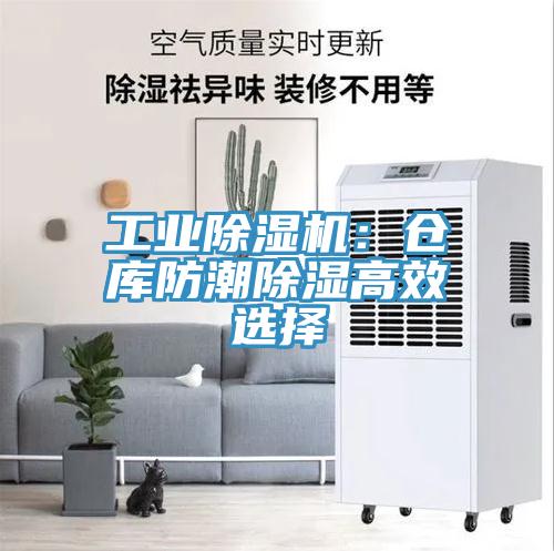 工业小黄片直播视频：仓库防潮除湿高效选择