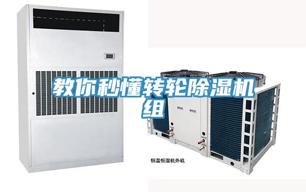 教你秒懂转轮小黄片直播视频组