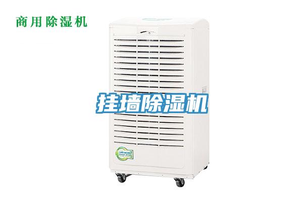挂墙小黄片直播视频