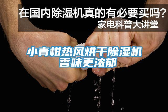 小青柑热风烘干小黄片直播视频 香味更浓郁