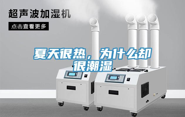 夏天很热，为什么却很潮湿