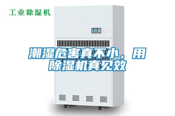 潮湿危害真不小，用小黄片直播视频真见效