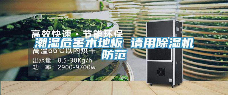 潮湿危害木地板 请用小黄片直播视频防范